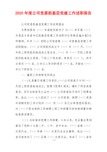 2025年度公司党委抓基层党建工作述职报告