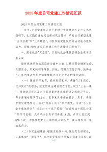 2025年度公司党建工作情况汇报