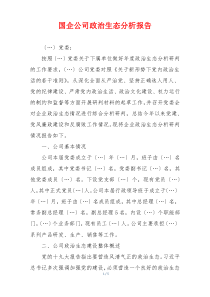 国企公司政治生态分析报告