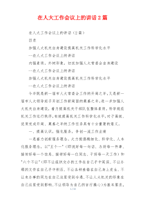 在人大工作会议上的讲话2篇