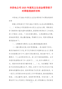 市供电公司2025年度民主生活会领导班子对照检视剖析材料