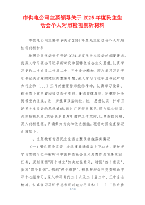 市供电公司主要领导关于2025年度民主生活会个人对照检视剖析材料
