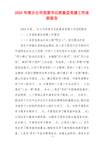 2025年度分公司党委书记抓基层党建工作述职报告