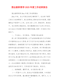 国企副职领导2025年度工作述职报告