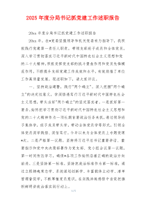 2025年度分局书记抓党建工作述职报告