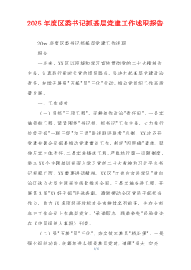2025年度区委书记抓基层党建工作述职报告