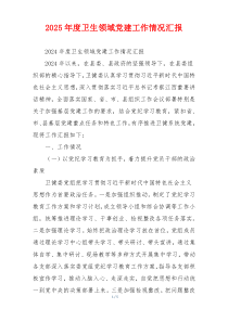 2025年度卫生领域党建工作情况汇报
