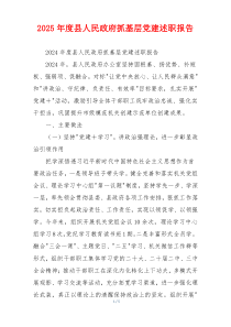 2025年度县人民政府抓基层党建述职报告