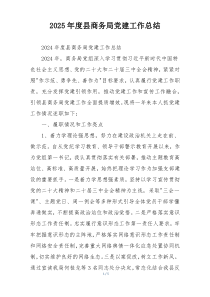 2025年度县商务局党建工作总结