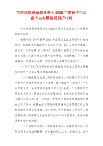 市应急管理局领导关于2025年度民主生活会个人对照检视剖析材料