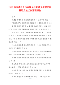 2025年度县市及市直属单位党委党组书记抓基层党建工作述职报告