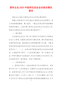 国有企业2025年组织生活会会后综合情况报告