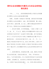 国有企业巡视整改专题民主生活会会前准备情况报告