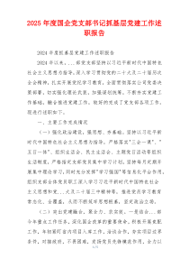 2025年度国企党支部书记抓基层党建工作述职报告