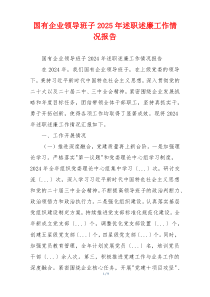 国有企业领导班子2025年述职述廉工作情况报告