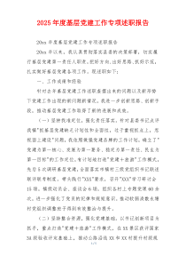 2025年度基层党建工作专项述职报告