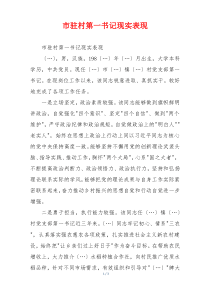 市驻村第一书记现实表现