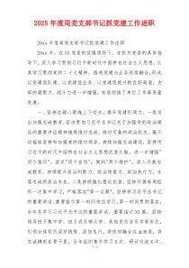 2025年度局党支部书记抓党建工作述职