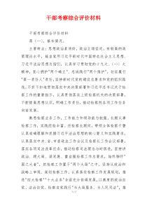 干部考察综合评价材料