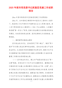2025年度市局党委书记抓基层党建工作述职报告