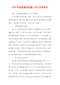 2025年度抓基层党建工作公开承诺书