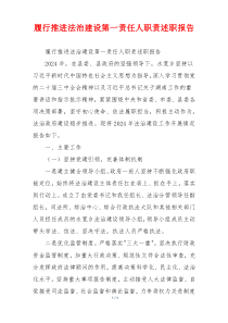 履行推进法治建设第一责任人职责述职报告