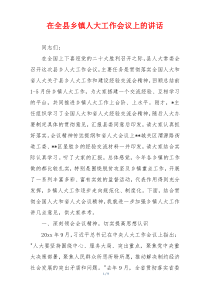 在全县乡镇人大工作会议上的讲话
