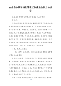 在全县乡镇精细化管理工作推进会议上的讲话