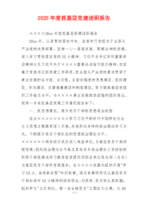 2025年度抓基层党建述职报告