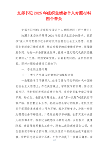 支部书记2025年组织生活会个人对照材料四个带头