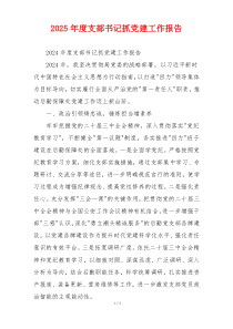 2025年度支部书记抓党建工作报告