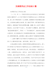 支部委员会工作总结2篇