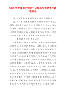2025年度某国企党委书记抓基层党建工作述职报告