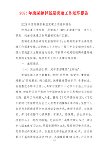 2025年度某镇抓基层党建工作述职报告