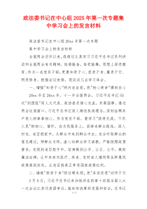政法委书记在中心组2025年第一次专题集中学习会上的发言材料