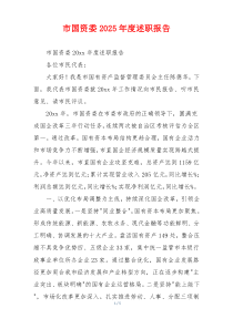 市国资委2025年度述职报告