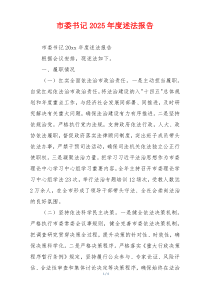 市委书记2025年度述法报告