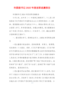市委副书记2025年度述职述廉报告