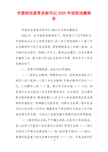 市委政法委常务副书记2025年述职述廉报告
