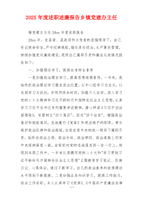 2025年度述职述廉报告乡镇党建办主任