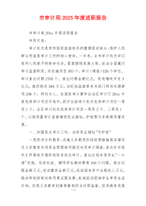 市审计局2025年度述职报告