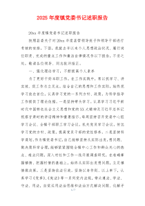 2025年度镇党委书记述职报告