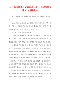 2025年度镇非公党建指导站党支部抓基层党建工作述职报告