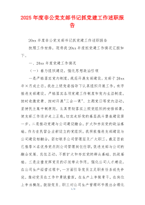 2025年度非公党支部书记抓党建工作述职报告