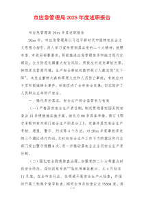 市应急管理局2025年度述职报告