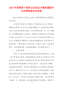 2025年度领导干部民主生活会乡镇党委副书记对照检查发言材料