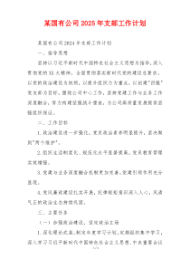 某国有公司2025年支部工作计划