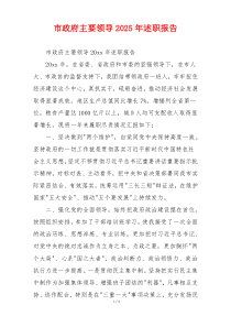市政府主要领导2025年述职报告