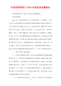 市某局领导班子2025年度述责述廉报告