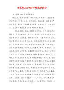 市水利局2025年度述职报告